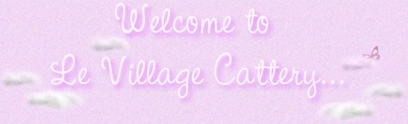 Le Village® CFA Cattery --- Exotics & Persians Chinchilla - PKD free guarantee, with certificate
